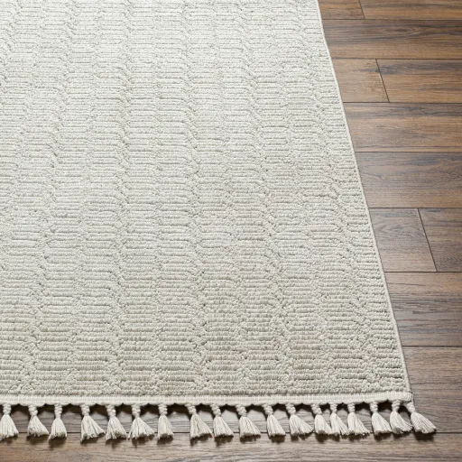 Finland FND-2310 2'2" x 3'9" Machine Woven Rug