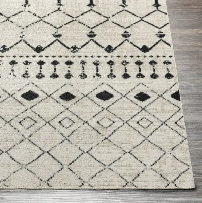 Lavadora LVR-2336 2'7" x 7'3" Rug