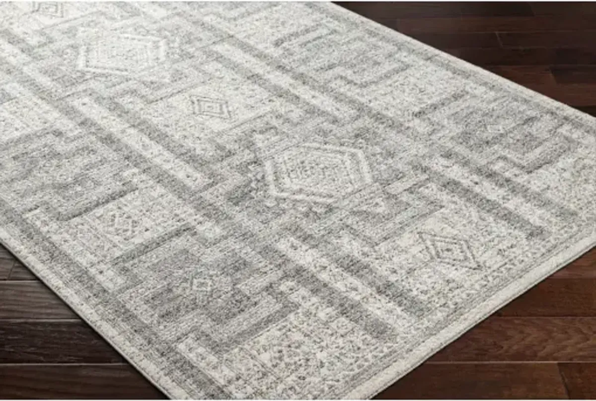 Positano PSN-2316 6'7" x 9' Machine Woven Rug