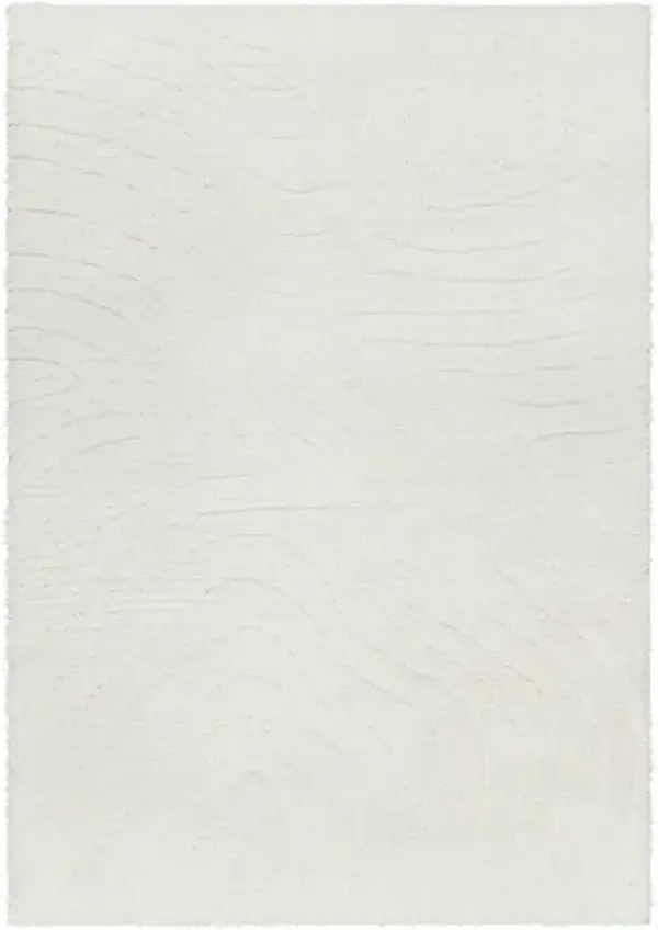 Nomadic NMC-2315 5'3" x 7' Machine Woven Rug