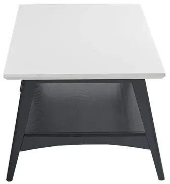 Madison Park Parker Off-White/Black Coffee Table