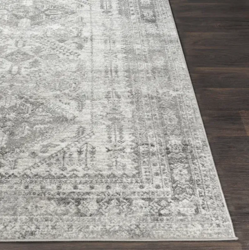 Monte Carlo 2'7" x 7'3" Rug