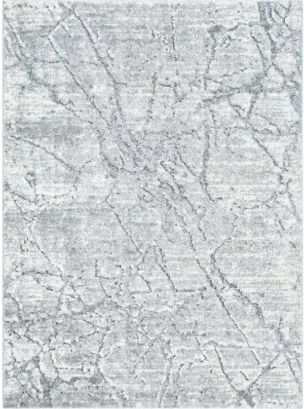 Andorra Plus ARP-2313 7'10" x 10' Machine Woven Rug