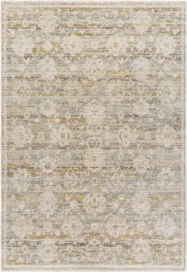 Rojin ROJ-2304 2'7" x 7'3" Machine Woven Rug