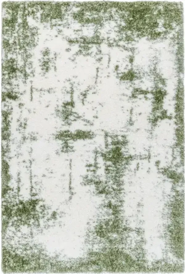 Cloudy Shag CDG-2329 5'3" x 7' Machine Woven Rug