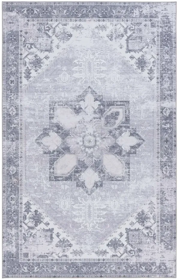 TUCSON 102 M/W S/R LIGHT GREY 3' x 5' Small Rectangle Rug
