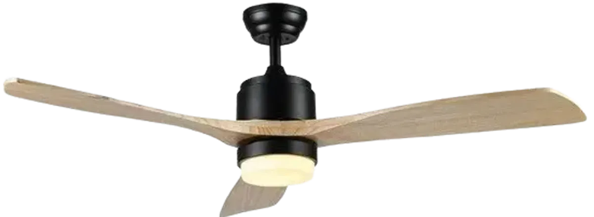 VENCIN CEILING FAN LIGHT