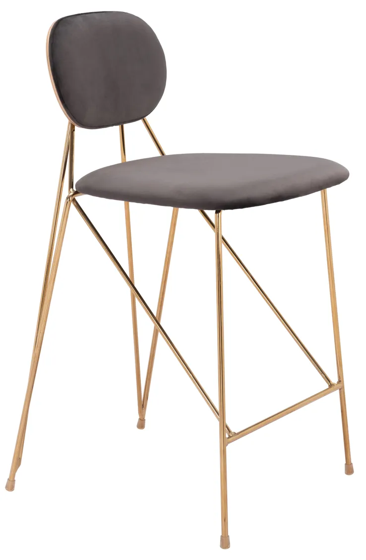 Georges Counter Stool (Set of 2) Gray & Gold