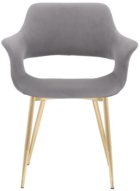 Gigi Grey Velvet Dining Room Chair with Gold Metal Legs - Set of 2