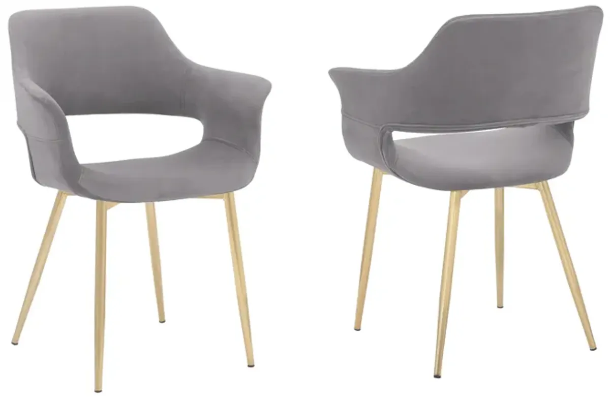 Gigi Grey Velvet Dining Room Chair with Gold Metal Legs - Set of 2