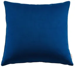 blue color