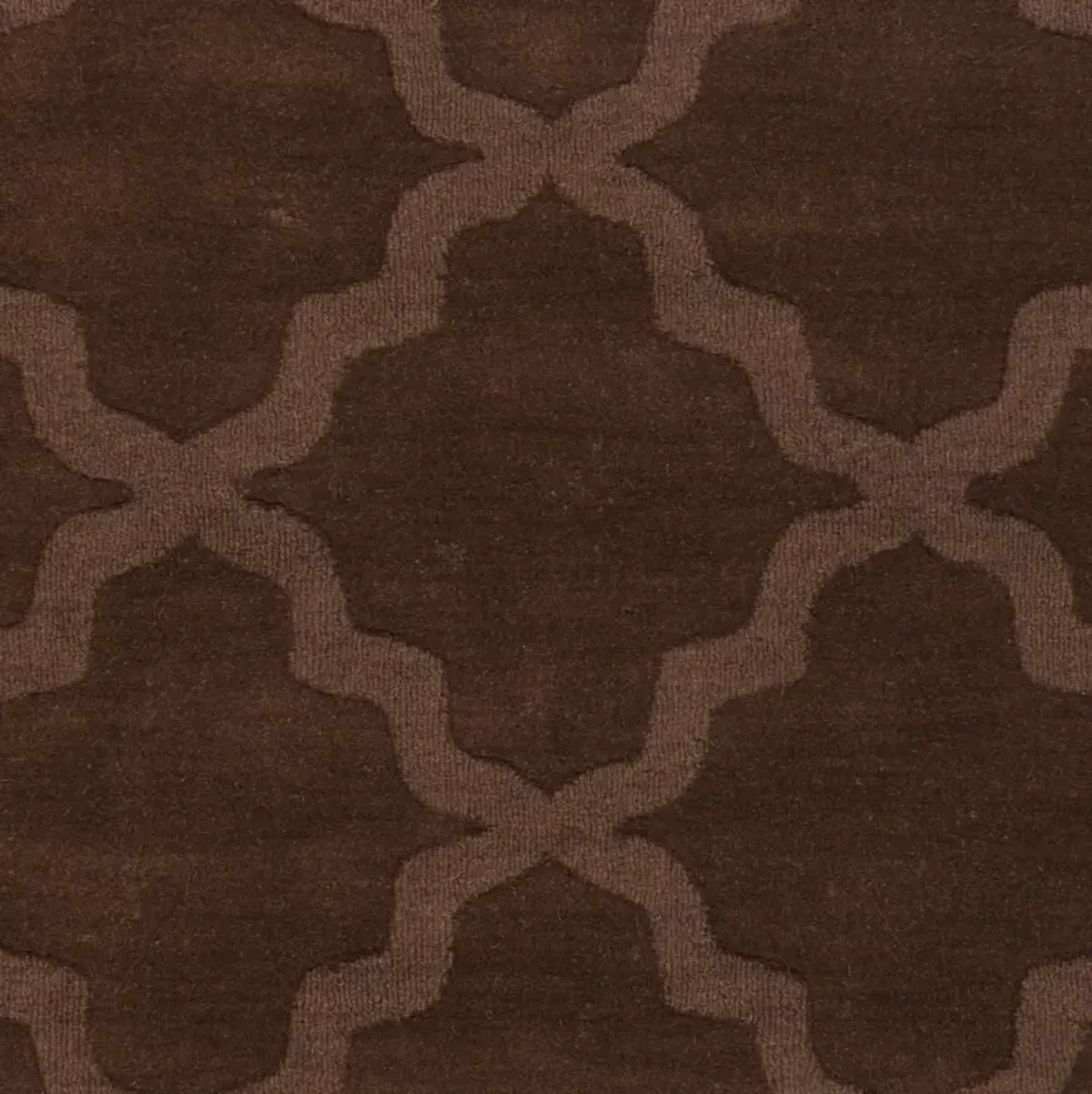 Central Park AWHP-4019 4' x 6' Hand Made Rug