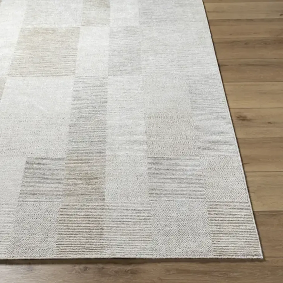 Emory EMO-2310 2'4" x 3'9" Machine Woven Rug