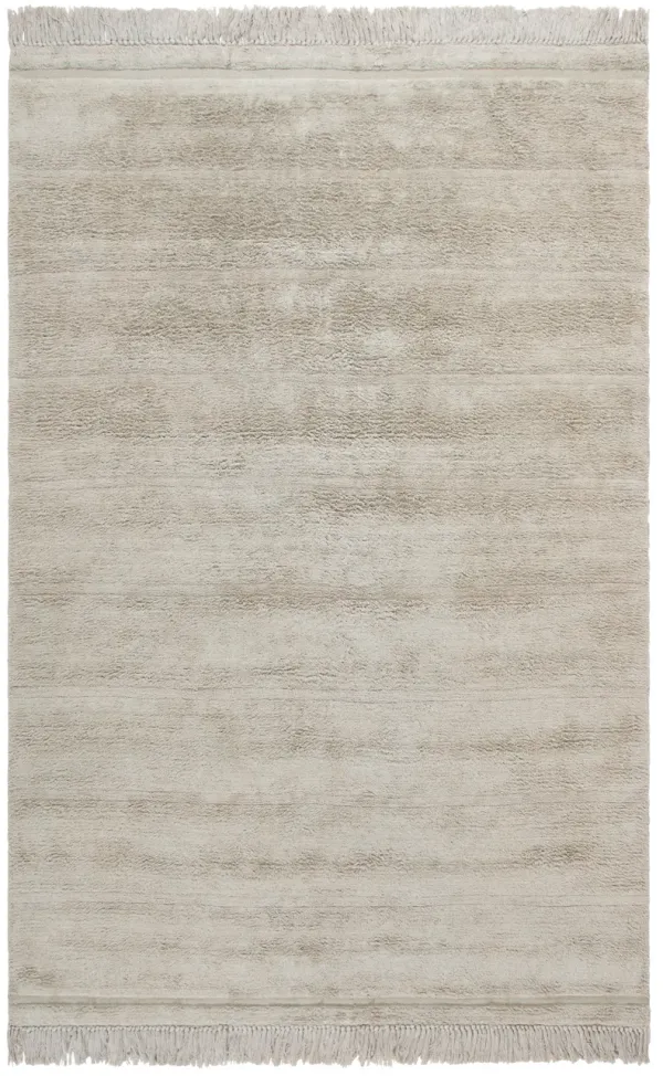 EASY CARE Hand Woven 5' x 8' area rug