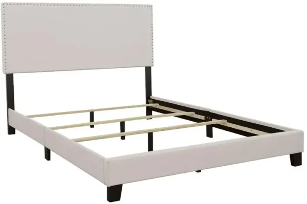 Boyd Upholstered Bed with Nailhead Trim