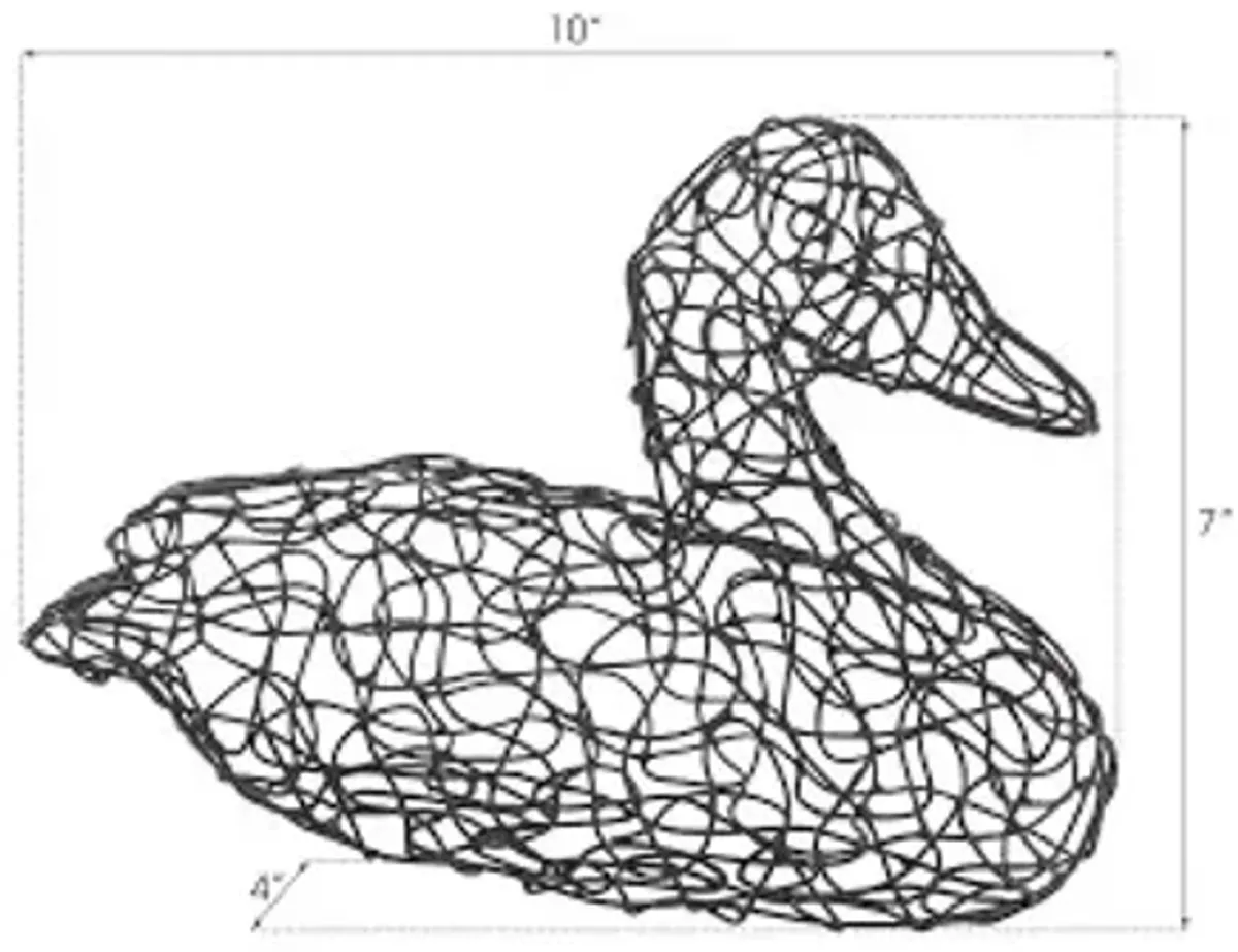 Crazy Wire Duck