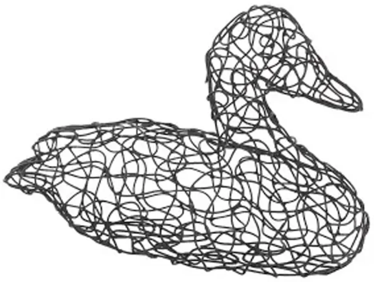 Crazy Wire Duck