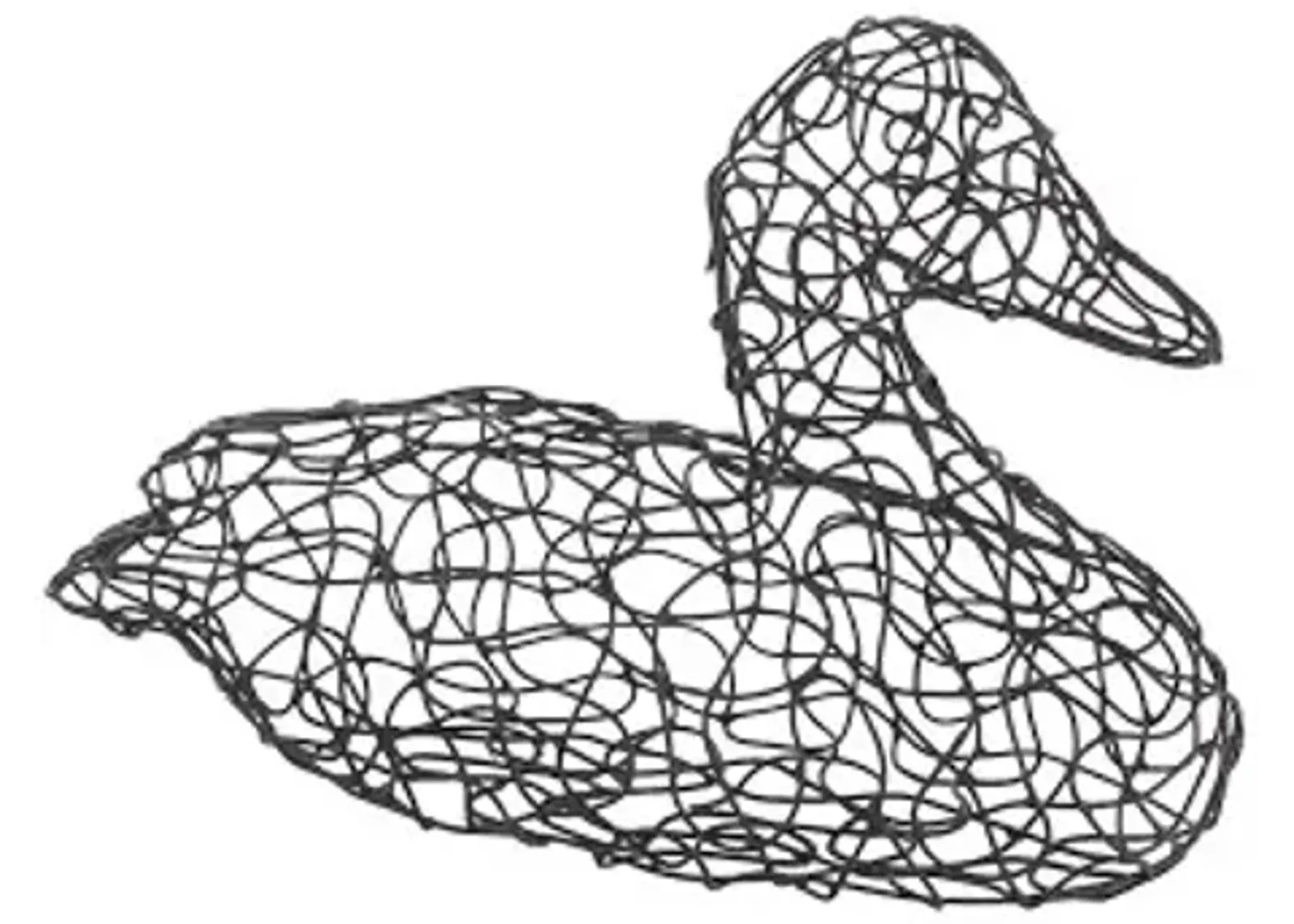 Crazy Wire Duck