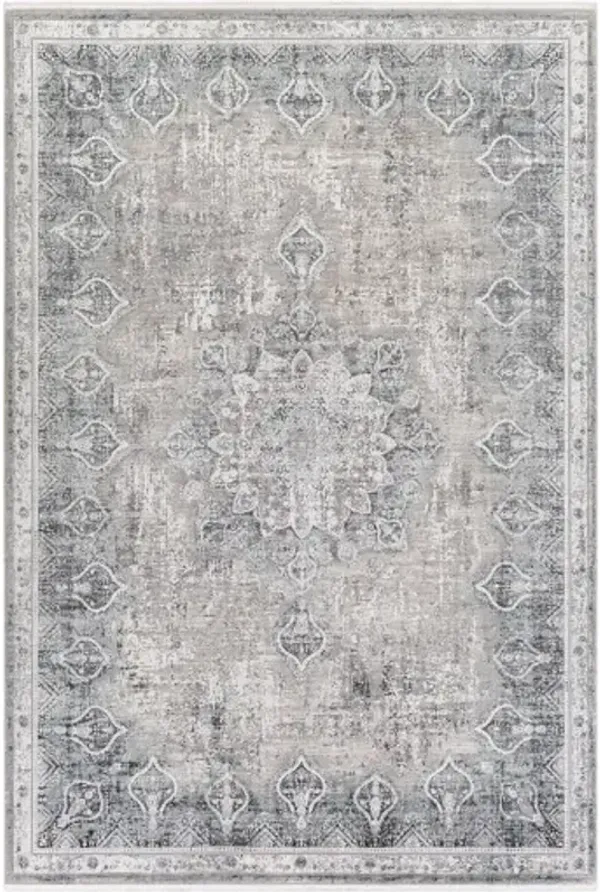 Solar 7'6" x 11'2" Rug