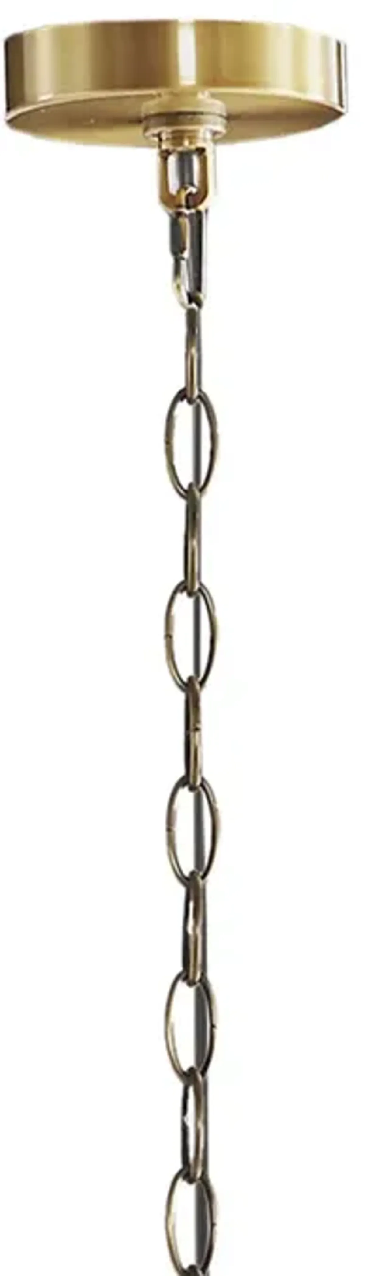 Hampton Hill Savor Gold 6-Light Traditional Candelabra Styled Chandelier