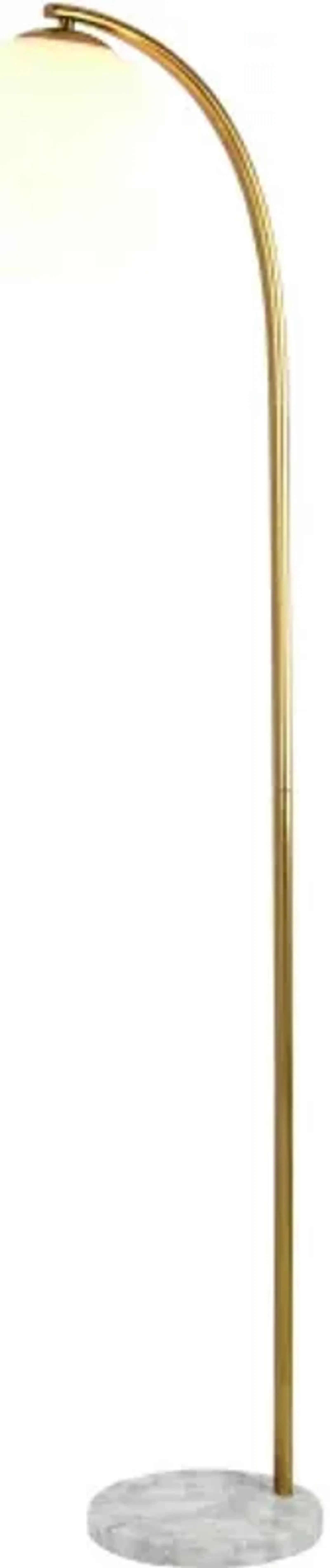 Aquilon Accent Floor Lamp