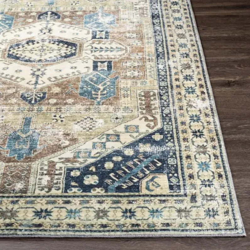 Erin 2'6" x 4' Rug