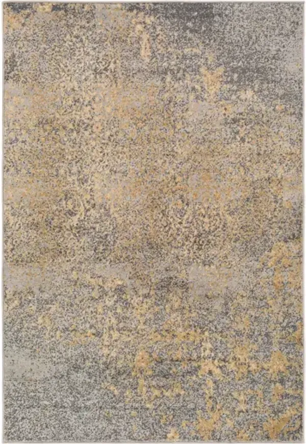 Paramount 8'10" x 12'10" Rug