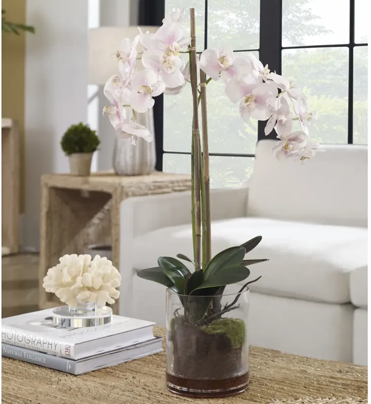 Blush Pink And White Orchid