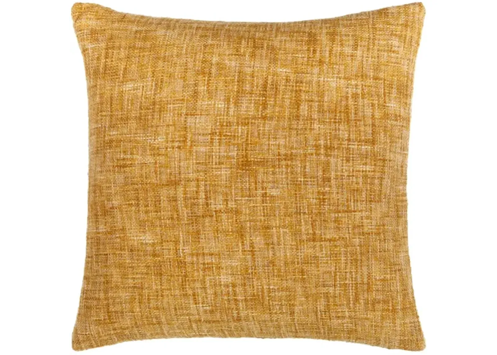 Ezequiel EZQ-001 22"L x 22"W Accent Pillow