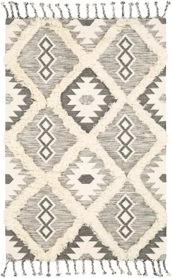 Apache 2' x 3' Rug