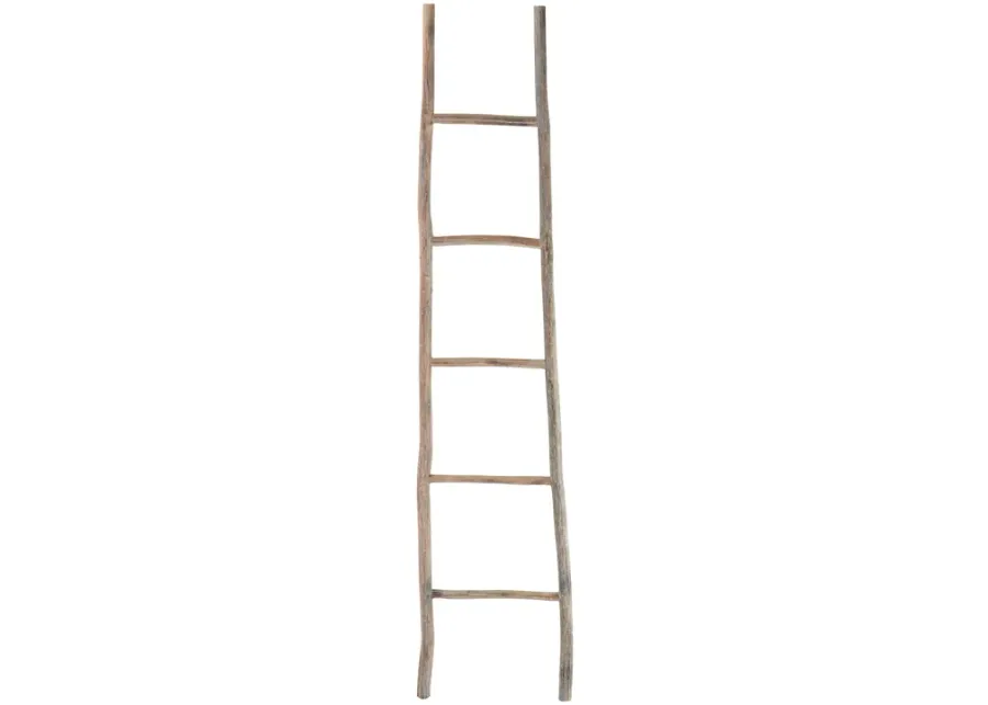 Lydia Wood Ladder - Large Bleached