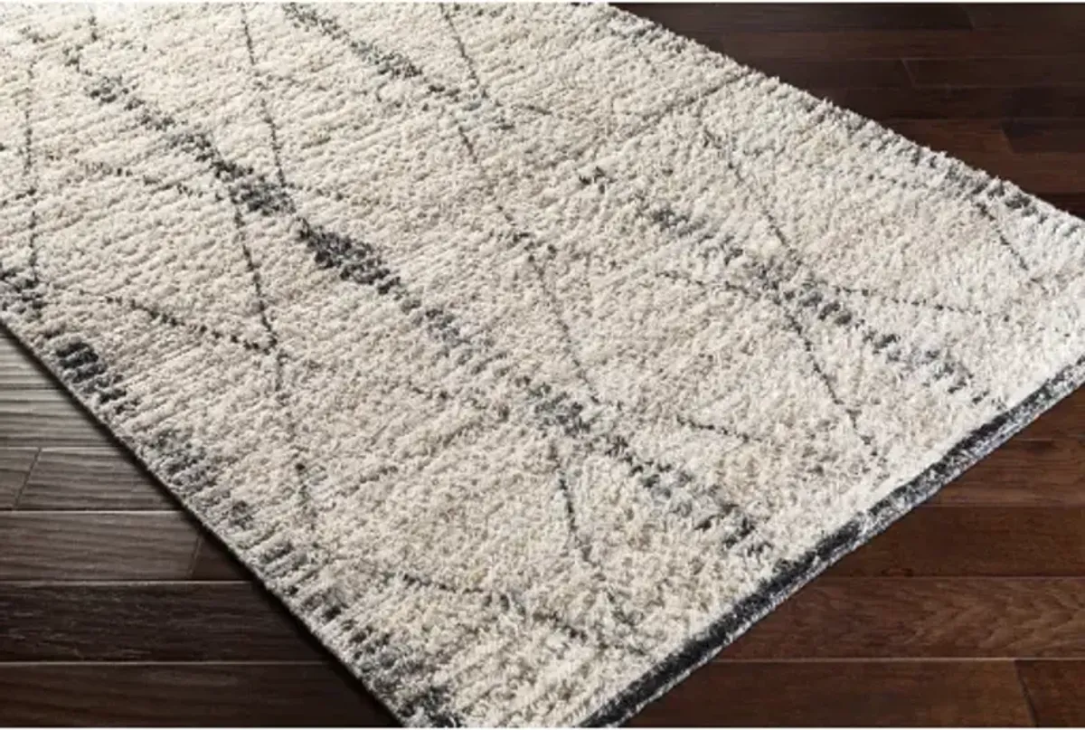 Birch BHC-2302 2'6" x 8' Rug