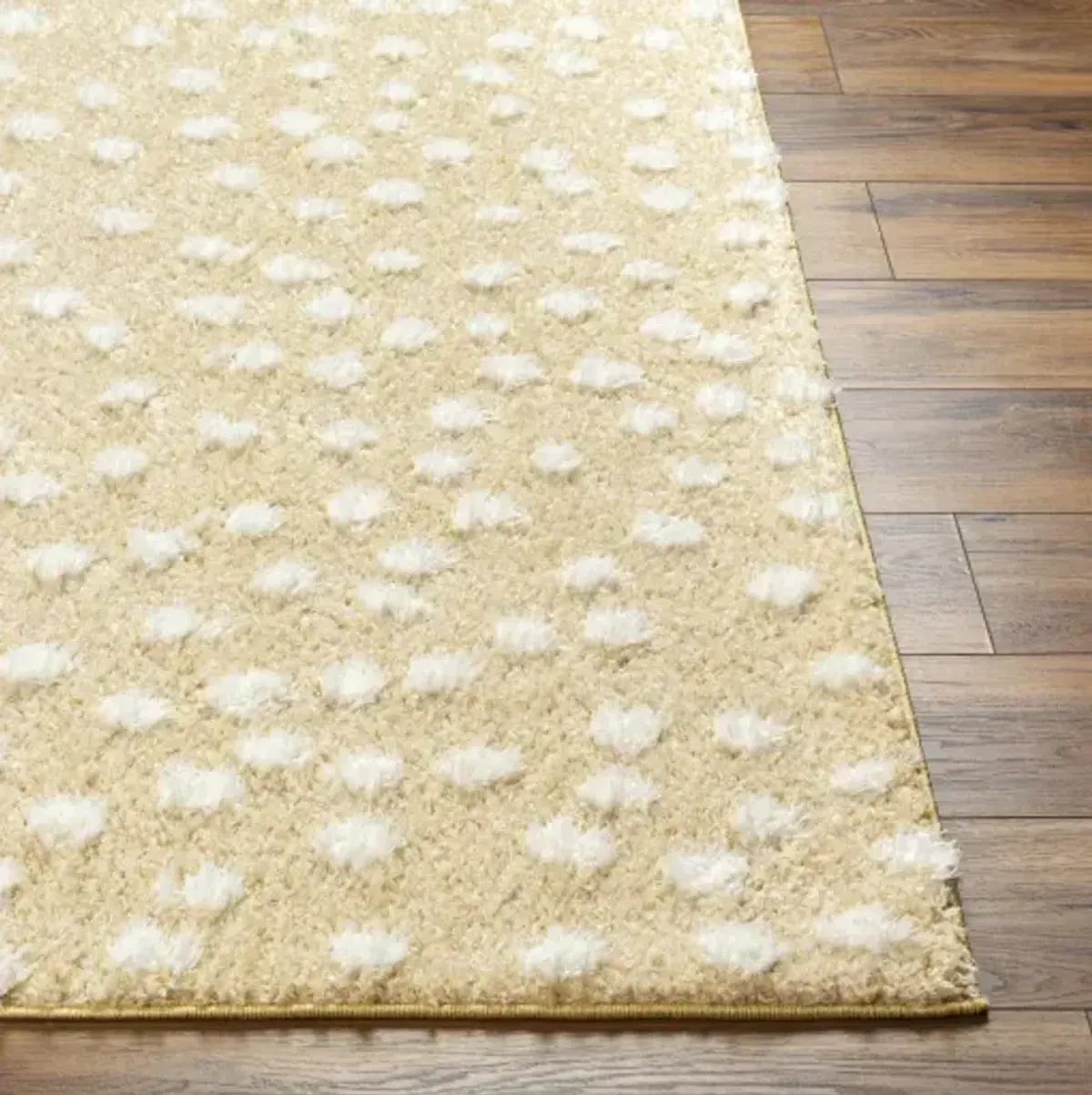 Rodos RDO-2351 6'7" x 9' Machine Woven Rug