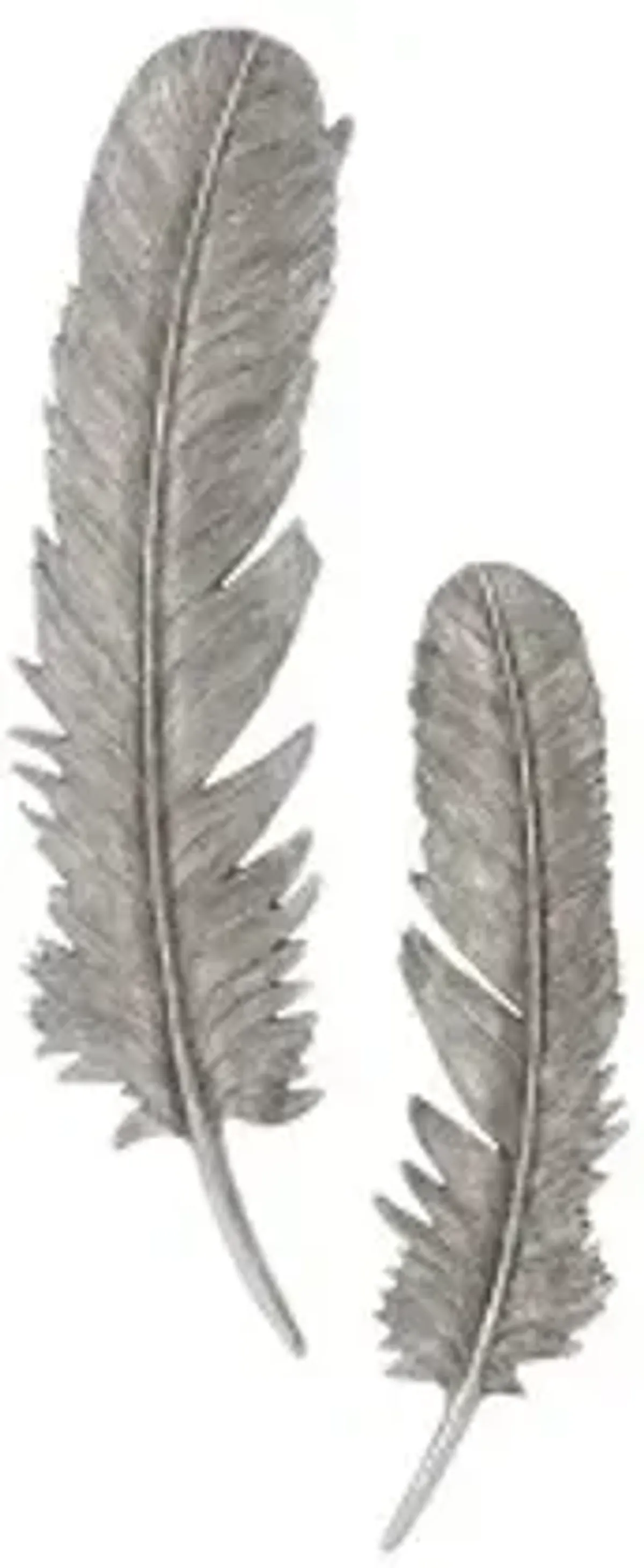 Feathers Wall Art