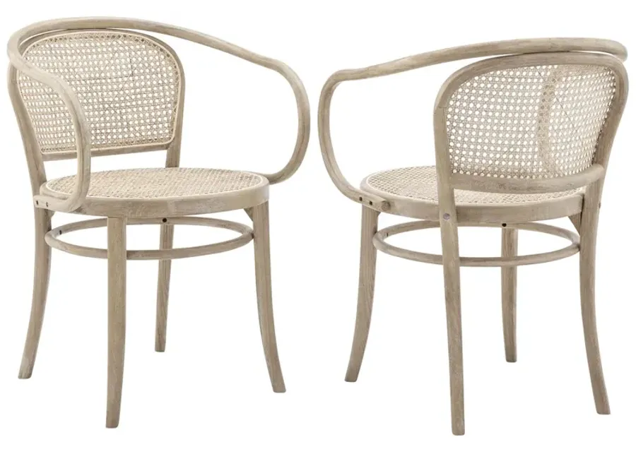 Oliana Wood Dining Armchair Set of 2