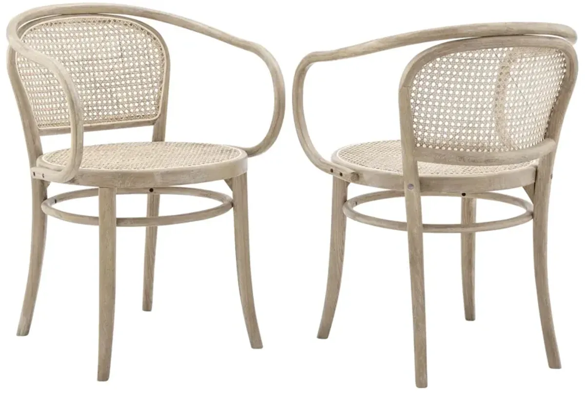 Oliana Wood Dining Armchair Set of 2