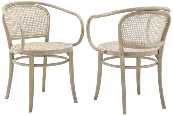 Oliana Wood Dining Armchair Set of 2