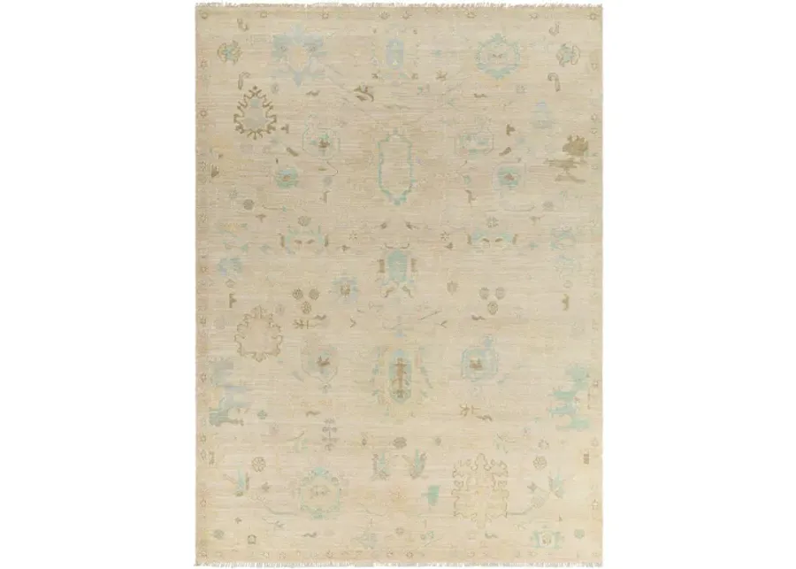 Antalya AAT-2308 12' x 15' Handmade Rug