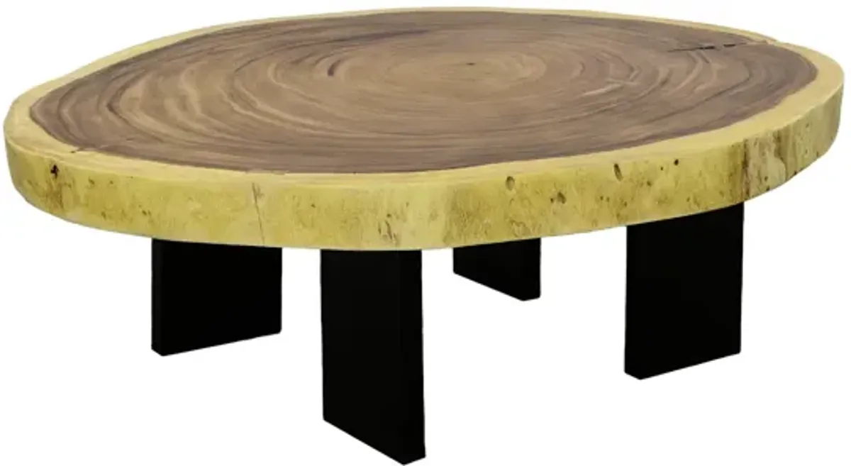 Floating Coffee Table With Black Legs, Natural, Size Varies