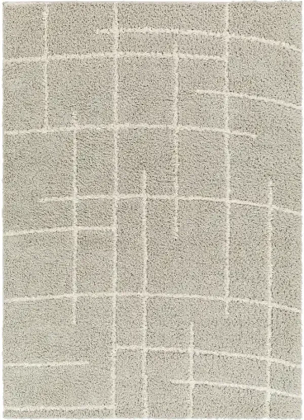 Maryland Shag MSG-2307 6'7" x 9' Machine Woven Rug