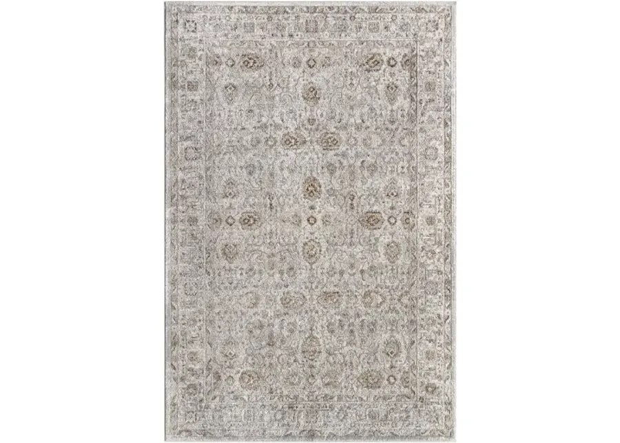 Beyond BYD-2303 5'3" x 7' Machine Woven Rug