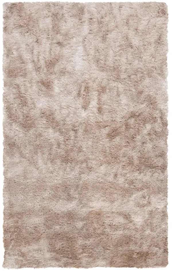 PARIS SHAG 512 Beige  3' X 5' Small Rectangle Rug
