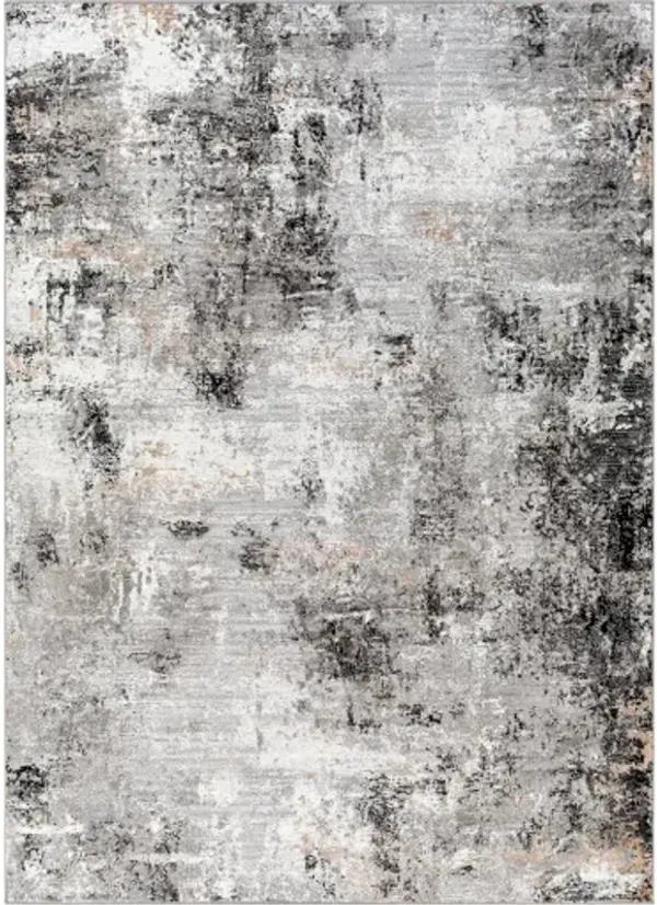 Allegro 5'3" x 7' Rug