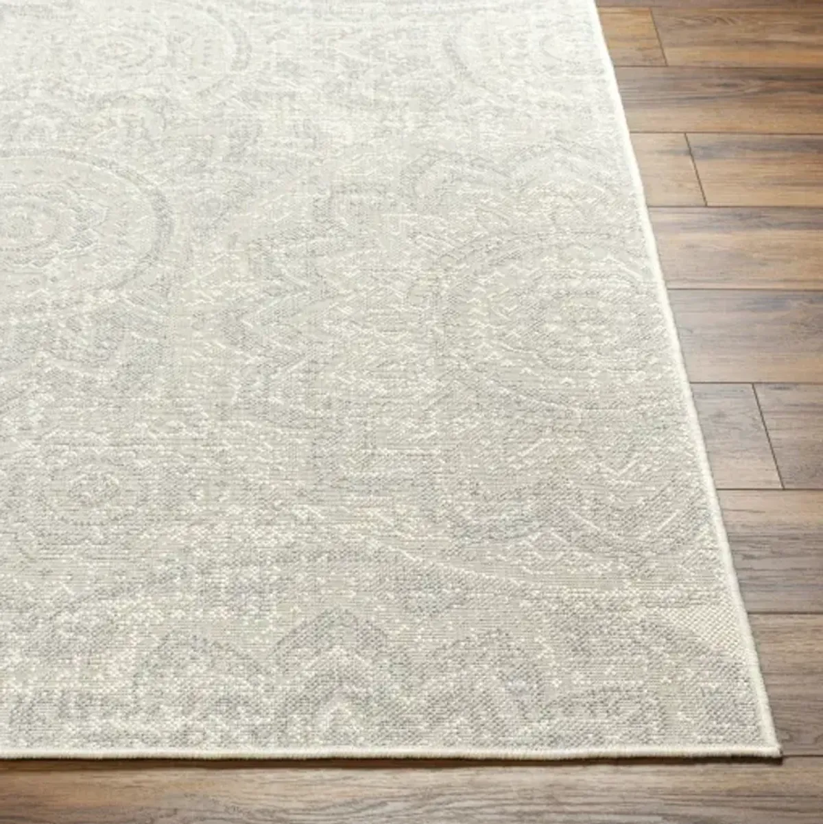 Ravello RVL-2313 5'3" x 7' Machine Woven Rug