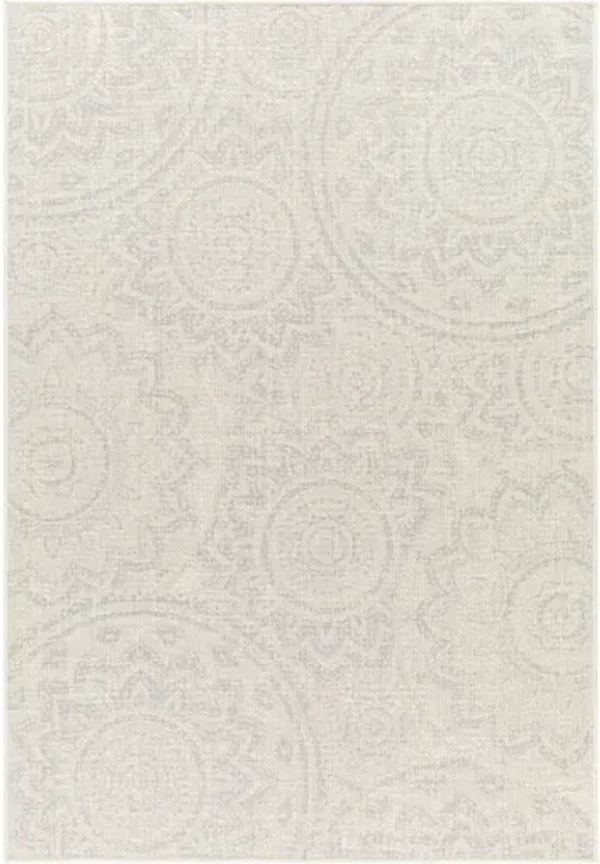 Ravello RVL-2313 5'3" x 7' Machine Woven Rug