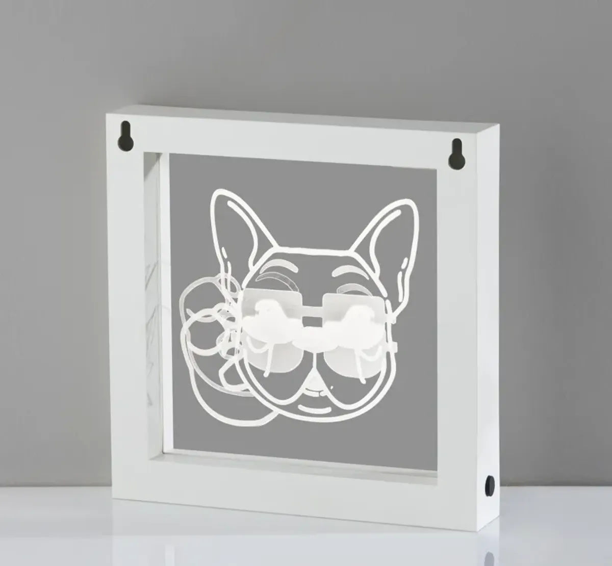 Cool Dog Video Light Box