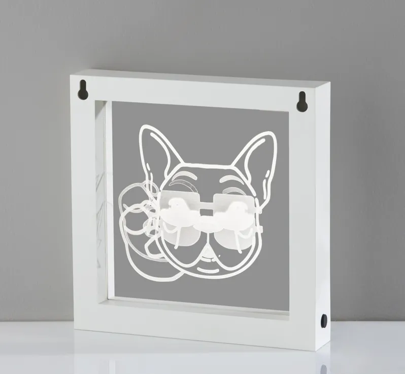 Cool Dog Video Light Box