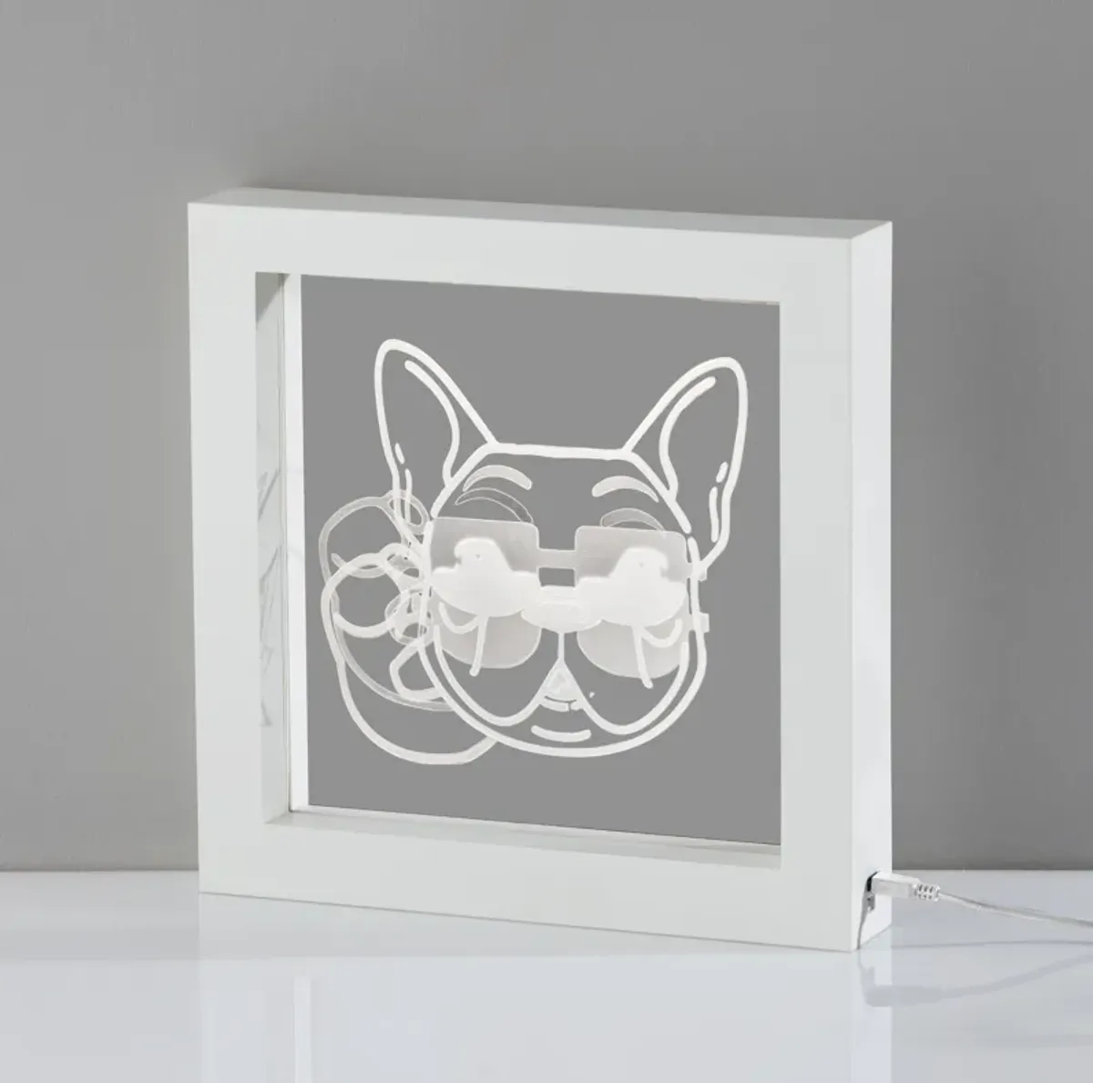 Cool Dog Video Light Box