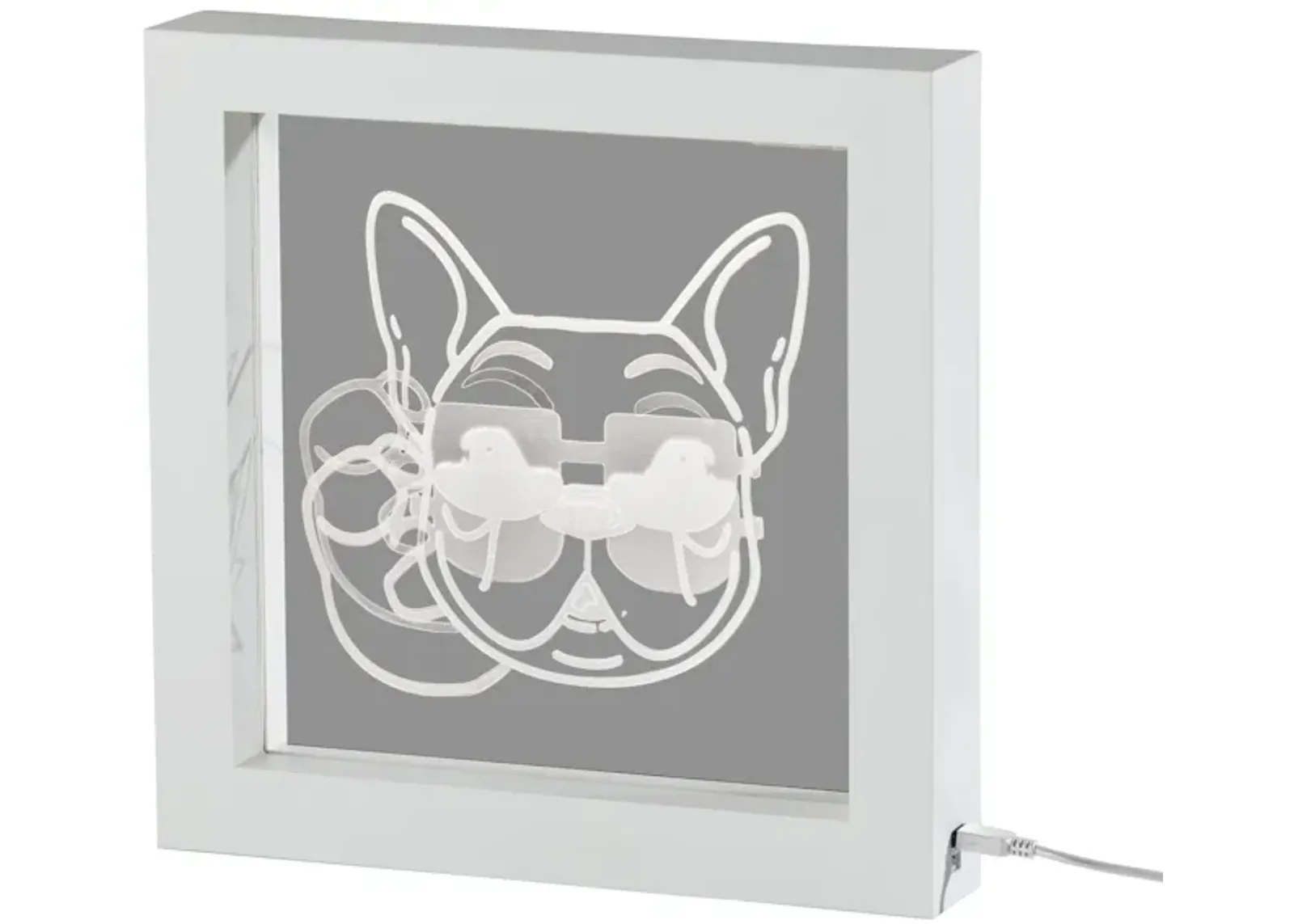 Cool Dog Video Light Box