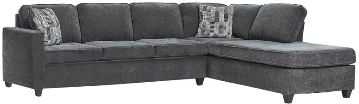 Adonis 2-Piece Cushion Back Sectional